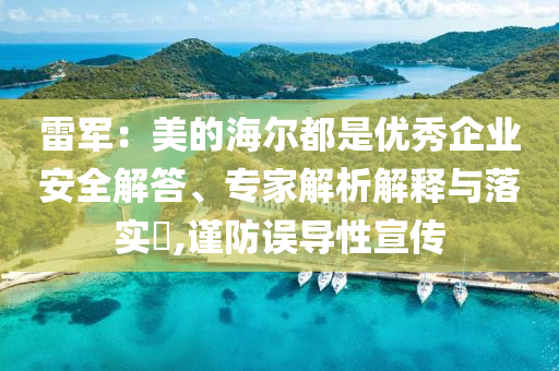 雷軍：美的海爾都是優(yōu)秀企業(yè)安全解答、專家解析解釋與落實?,謹防誤導性宣傳