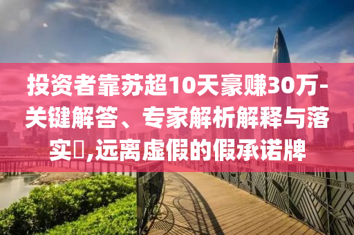投資者靠蘇超10天豪賺30萬(wàn)-關(guān)鍵解答、專家解析解釋與落實(shí)?,遠(yuǎn)離虛假的假承諾牌