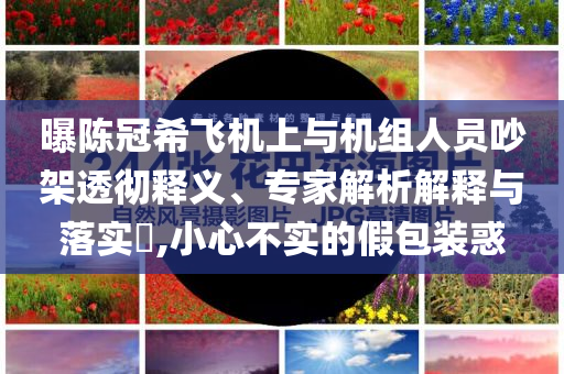 曝陳冠希飛機(jī)上與機(jī)組人員吵架透徹釋義、專家解析解釋與落實(shí)?,小心不實(shí)的假包裝惑