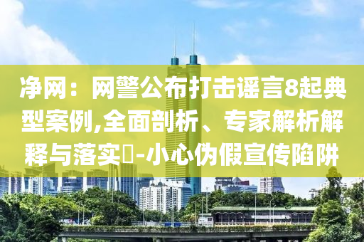 凈網(wǎng)：網(wǎng)警公布打擊謠言8起典型案例,全面剖析、專家解析解釋與落實?-小心偽假宣傳陷阱
