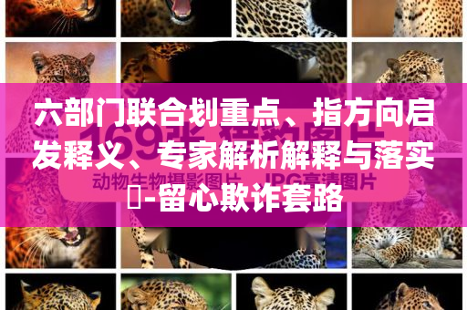 六部門聯(lián)合劃重點(diǎn)、指方向啟發(fā)釋義、專家解析解釋與落實(shí)?-留心欺詐套路