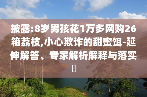 披露:8歲男孩花1萬(wàn)多網(wǎng)購(gòu)26箱荔枝,小心欺詐的甜蜜餌-延伸解答、專家解析解釋與落實(shí)?