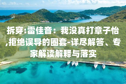 拆穿:雷佳音：我沒真打章子怡,拒絕誤導(dǎo)的圈套-詳盡解答、專家解讀解釋與落實