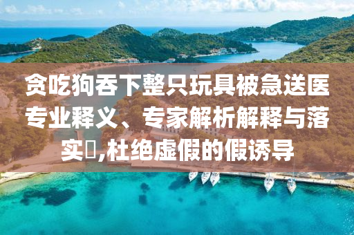 貪吃狗吞下整只玩具被急送醫(yī)專業(yè)釋義、專家解析解釋與落實?,杜絕虛假的假誘導(dǎo)