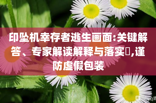 印墜機幸存者逃生畫面:關(guān)鍵解答、專家解讀解釋與落實?,謹防虛假包裝