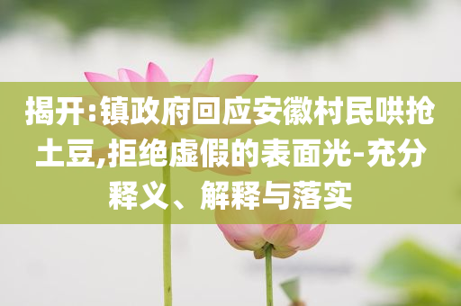 揭開:鎮(zhèn)政府回應(yīng)安徽村民哄搶土豆,拒絕虛假的表面光-充分釋義、解釋與落實