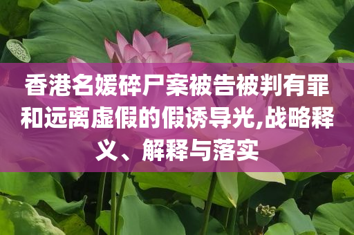 香港名媛碎尸案被告被判有罪和遠(yuǎn)離虛假的假誘導(dǎo)光,戰(zhàn)略釋義、解釋與落實