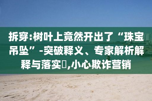 拆穿:樹葉上竟然開出了“珠寶吊墜”-突破釋義、專家解析解釋與落實(shí)?,小心欺詐營銷
