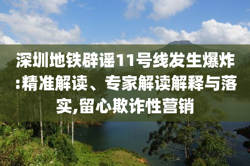 深圳地鐵辟謠11號(hào)線發(fā)生爆炸:精準(zhǔn)解讀、專家解讀解釋與落實(shí),留心欺詐性營(yíng)銷