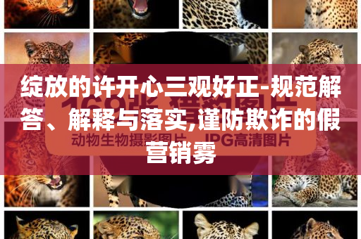 綻放的許開(kāi)心三觀好正-規(guī)范解答、解釋與落實(shí),謹(jǐn)防欺詐的假營(yíng)銷(xiāo)霧