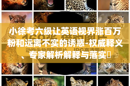 小徐考六級(jí)讓英語(yǔ)視界漲百萬(wàn)粉和遠(yuǎn)離不實(shí)的誘惑-權(quán)威釋義、專(zhuān)家解析解釋與落實(shí)?
