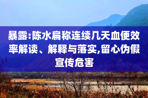 暴露:陳水扁稱連續(xù)幾天血便效率解讀、解釋與落實,留心偽假宣傳危害