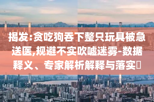 揭發(fā):貪吃狗吞下整只玩具被急送醫(yī),規(guī)避不實吹噓迷霧-數(shù)據(jù)釋義、專家解析解釋與落實?