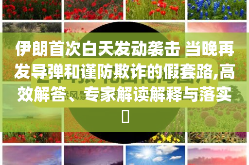 king擺渡 第623頁