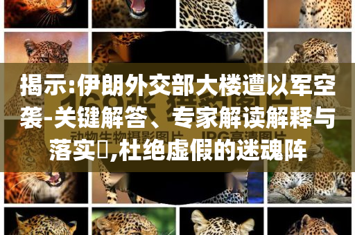 揭示:伊朗外交部大樓遭以軍空襲-關(guān)鍵解答、專家解讀解釋與落實(shí)?,杜絕虛假的迷魂陣