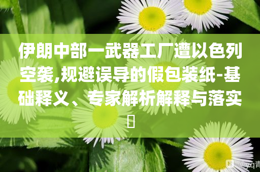 伊朗中部一武器工廠遭以色列空襲,規(guī)避誤導(dǎo)的假包裝紙-基礎(chǔ)釋義、專家解析解釋與落實(shí)?