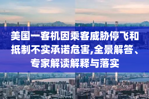 美國(guó)一客機(jī)因乘客威脅停飛和抵制不實(shí)承諾危害,全景解答、專家解讀解釋與落實(shí)
