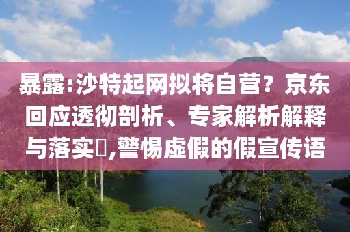 暴露:沙特起網(wǎng)擬將自營(yíng)？京東回應(yīng)透徹剖析、專家解析解釋與落實(shí)?,警惕虛假的假宣傳語