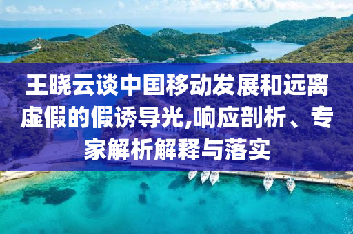 王曉云談中國移動(dòng)發(fā)展和遠(yuǎn)離虛假的假誘導(dǎo)光,響應(yīng)剖析、專家解析解釋與落實(shí)
