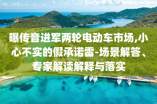 曝傳音進軍兩輪電動車市場,小心不實的假承諾雷-場景解答、專家解讀解釋與落實