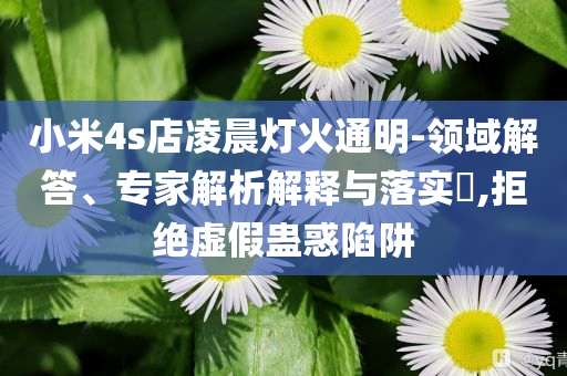 小米4s店凌晨燈火通明-領域解答、專家解析解釋與落實?,拒絕虛假蠱惑陷阱