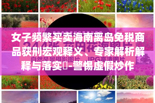 女子頻繁買賣海南離島免稅商品獲刑宏觀釋義、專家解析解釋與落實?-警惕虛假炒作