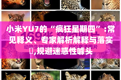 小米YU7的“瘋狂星期四”:常見釋義、專家解析解釋與落實?,規(guī)避迷惑性噱頭