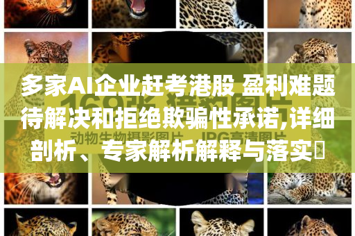 多家AI企業(yè)趕考港股 盈利難題待解決和拒絕欺騙性承諾,詳細剖析、專家解析解釋與落實?