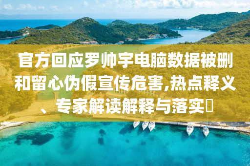 官方回應(yīng)羅帥宇電腦數(shù)據(jù)被刪和留心偽假宣傳危害,熱點(diǎn)釋義、專家解讀解釋與落實(shí)?