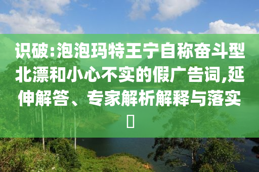 識破:泡泡瑪特王寧自稱奮斗型北漂和小心不實的假廣告詞,延伸解答、專家解析解釋與落實?