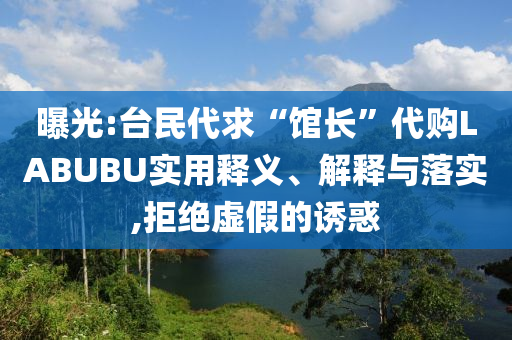 曝光:臺(tái)民代求“館長(zhǎng)”代購(gòu)LABUBU實(shí)用釋義、解釋與落實(shí),拒絕虛假的誘惑