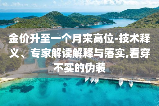 金價(jià)升至一個(gè)月來高位-技術(shù)釋義、專家解讀解釋與落實(shí),看穿不實(shí)的偽裝