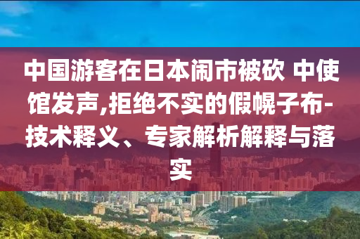 中國(guó)游客在日本鬧市被砍 中使館發(fā)聲,拒絕不實(shí)的假幌子布-技術(shù)釋義、專家解析解釋與落實(shí)