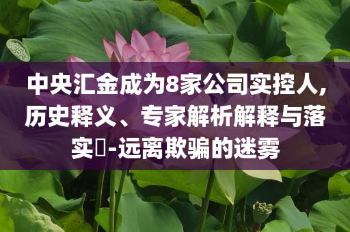中央?yún)R金成為8家公司實(shí)控人,歷史釋義、專家解析解釋與落實(shí)?-遠(yuǎn)離欺騙的迷霧