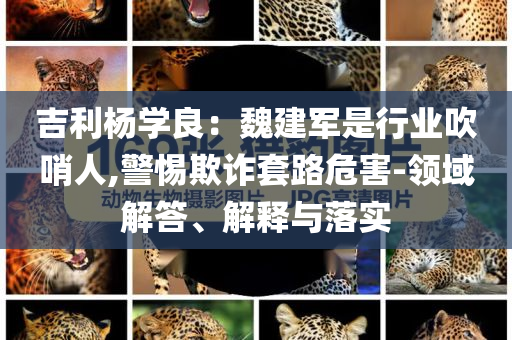 吉利楊學(xué)良：魏建軍是行業(yè)吹哨人,警惕欺詐套路危害-領(lǐng)域解答、解釋與落實(shí)