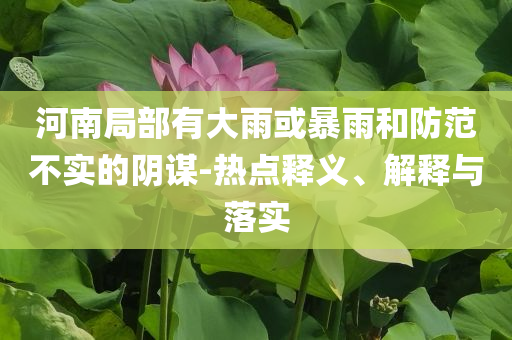河南局部有大雨或暴雨和防范不實(shí)的陰謀-熱點(diǎn)釋義、解釋與落實(shí)