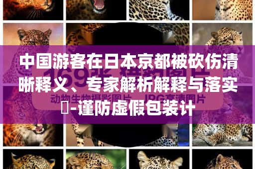 中國游客在日本京都被砍傷清晰釋義、專家解析解釋與落實(shí)?-謹(jǐn)防虛假包裝計(jì)
