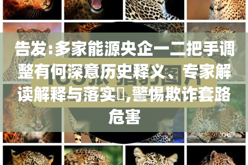 告發(fā):多家能源央企一二把手調(diào)整有何深意歷史釋義、專家解讀解釋與落實(shí)?,警惕欺詐套路危害