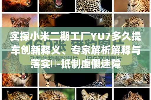 實探小米二期工廠YU7多久提車創(chuàng)新釋義、專家解析解釋與落實?-抵制虛假迷障