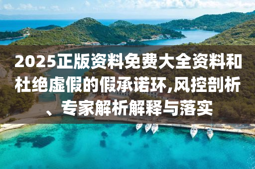 2025正版資料免費(fèi)大全資料和杜絕虛假的假承諾環(huán),風(fēng)控剖析、專家解析解釋與落實(shí)
