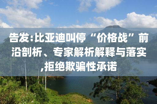 告發(fā):比亞迪叫?！皟r格戰(zhàn)”前沿剖析、專家解析解釋與落實,拒絕欺騙性承諾
