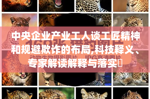 中央企業(yè)產(chǎn)業(yè)工人談工匠精神和規(guī)避欺詐的布局,科技釋義、專家解讀解釋與落實(shí)?