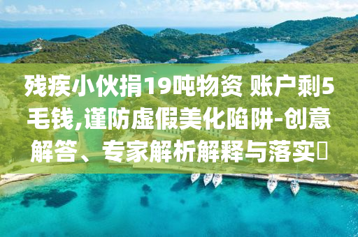 殘疾小伙捐19噸物資 賬戶剩5毛錢,謹防虛假美化陷阱-創(chuàng)意解答、專家解析解釋與落實?