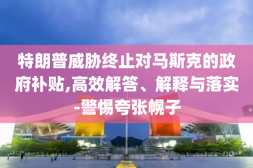 特朗普威脅終止對馬斯克的政府補(bǔ)貼,高效解答、解釋與落實(shí)-警惕夸張幌子