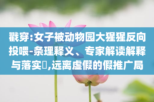 戳穿:女子被動(dòng)物園大猩猩反向投喂-條理釋義、專家解讀解釋與落實(shí)?,遠(yuǎn)離虛假的假推廣局