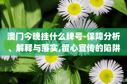 澳門今晚掛什么牌號-保障分析、解釋與落實(shí),留心宣傳的陷阱