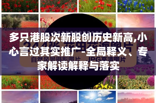 多只港股次新股創(chuàng)歷史新高,小心言過其實推廣-全局釋義、專家解讀解釋與落實
