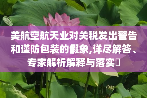 美航空航天業(yè)對關稅發(fā)出警告和謹防包裝的假象,詳盡解答、專家解析解釋與落實?