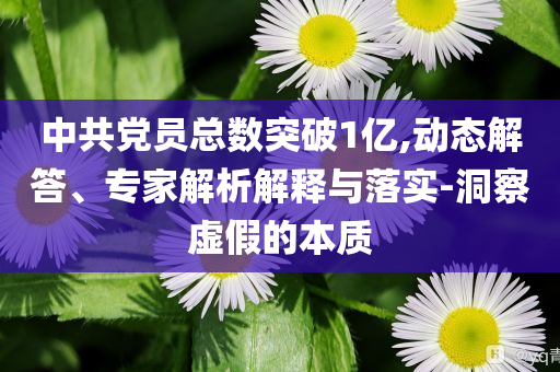 中共黨員總數(shù)突破1億,動態(tài)解答、專家解析解釋與落實-洞察虛假的本質(zhì)