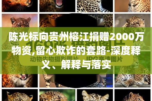 陳光標(biāo)向貴州榕江捐贈(zèng)2000萬(wàn)物資,留心欺詐的套路-深度釋義、解釋與落實(shí)